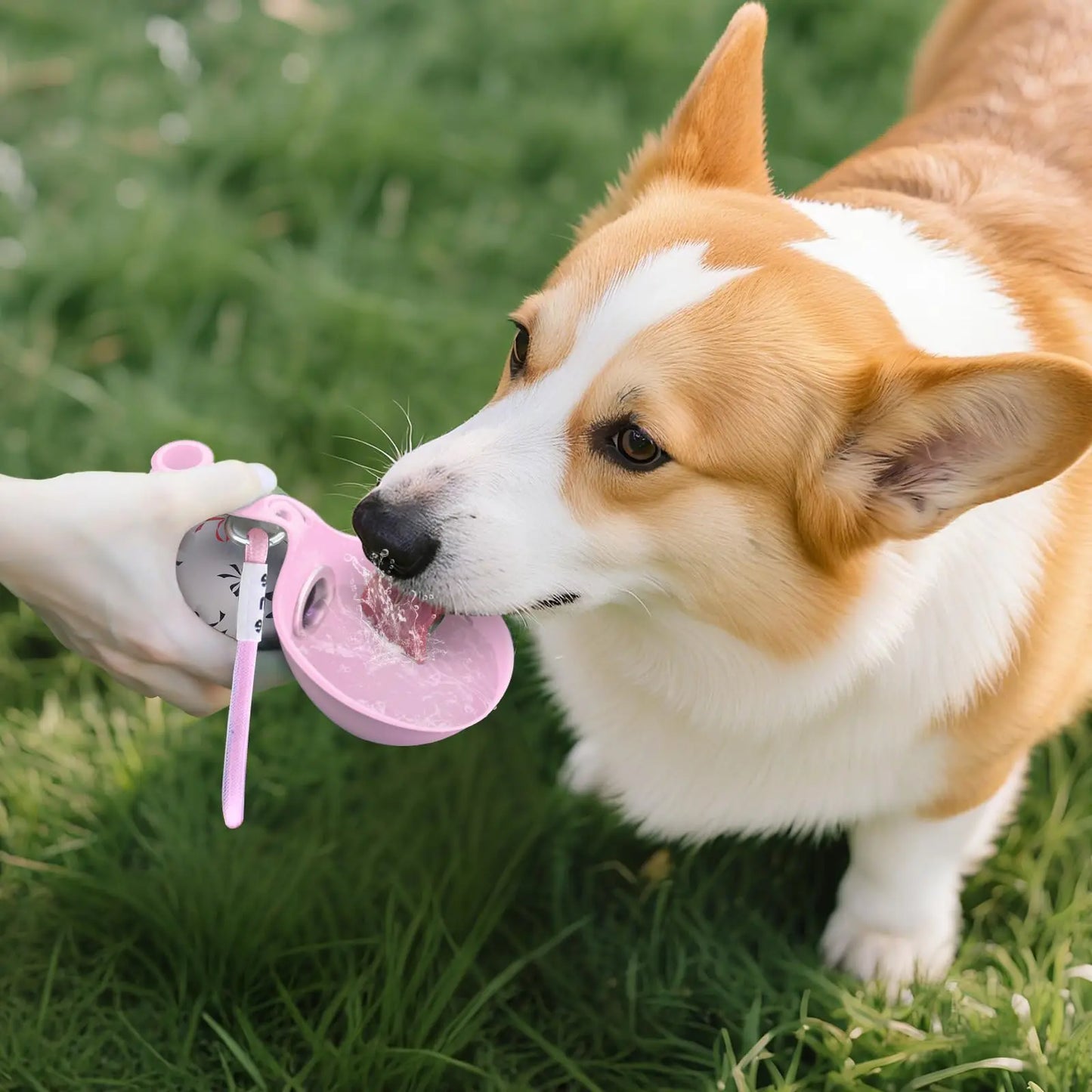 HydroPaw Portable Dog Water Bottle